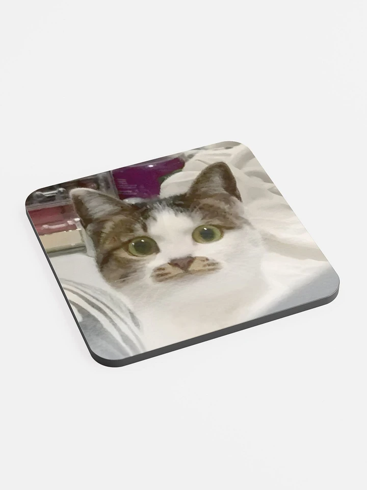 Glossed Cork Coaster: Meme Cats product image (2)