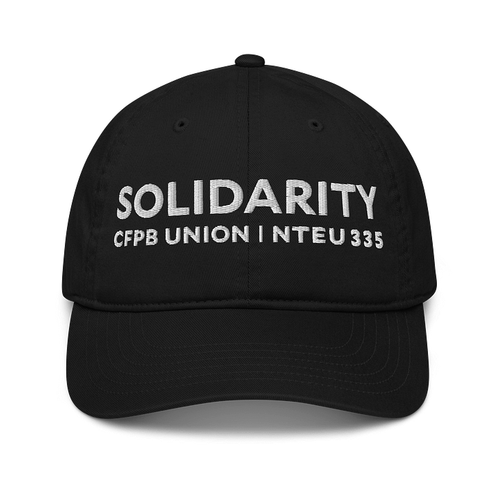 Solidarity Baseball Hat product image (1)