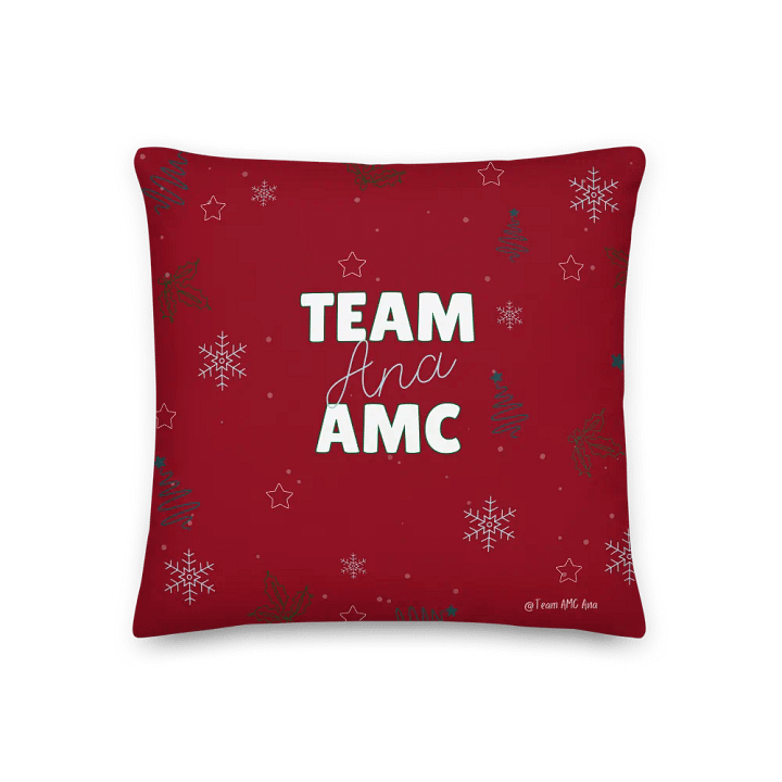 KPDBT - Holiday Pillow product image (2)