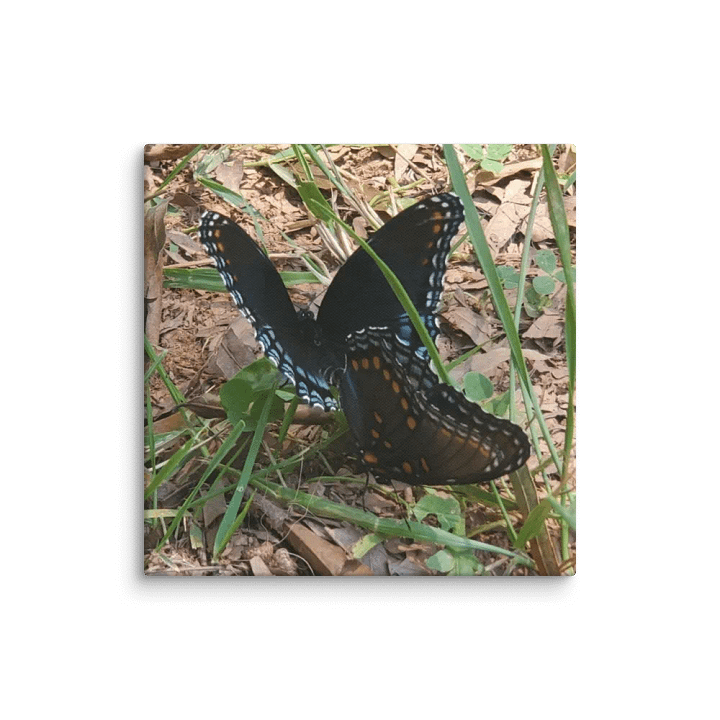 Butterfly Bliss Canvas product image (9)