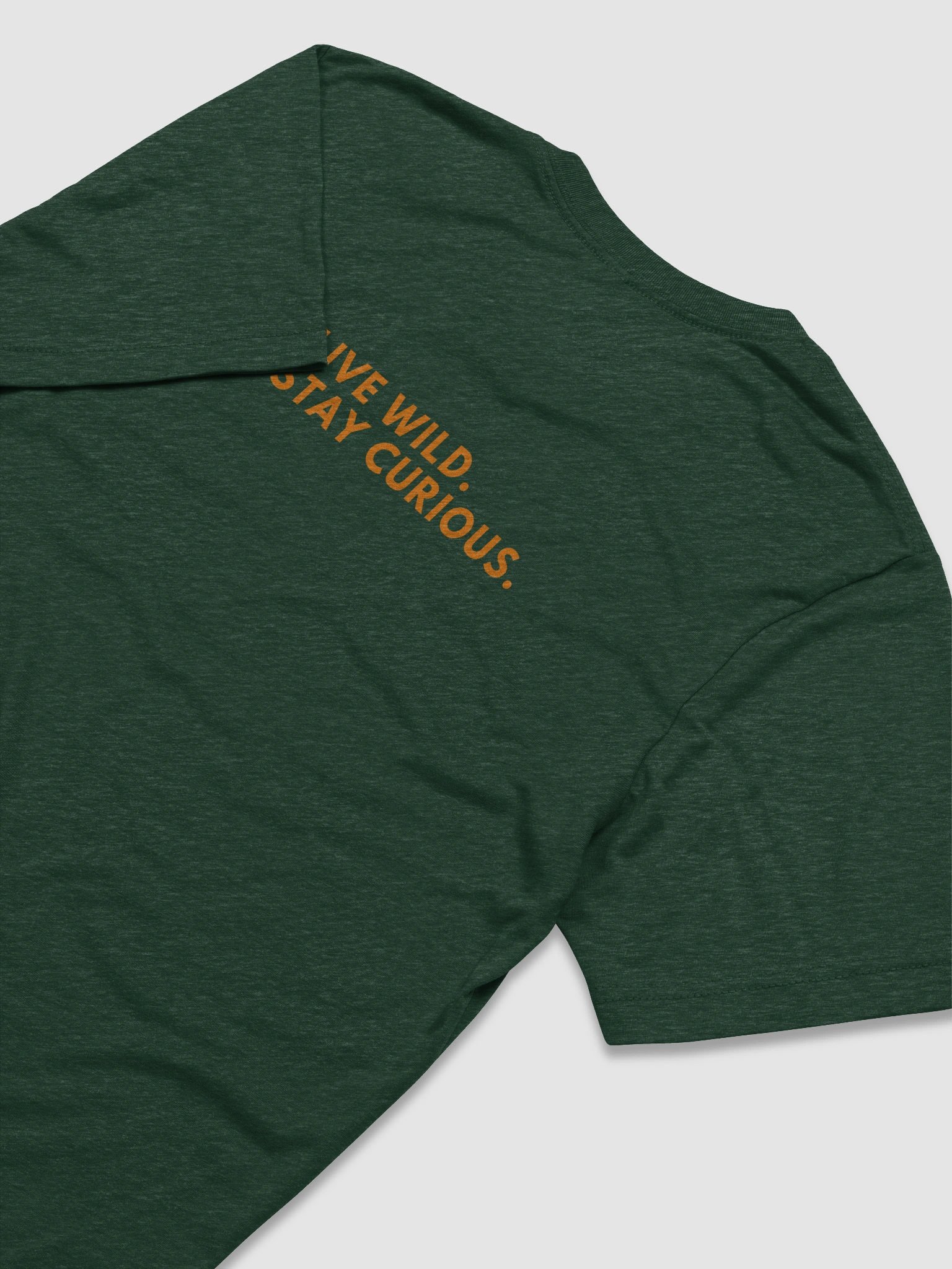 Tri-Blend Tee | Live Wild. Stay Curious. product image (7)