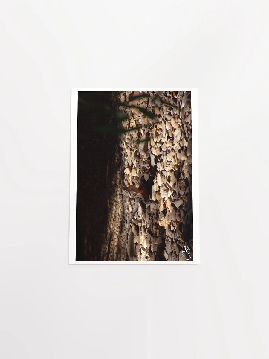 The Lizard King - Print product image (4)