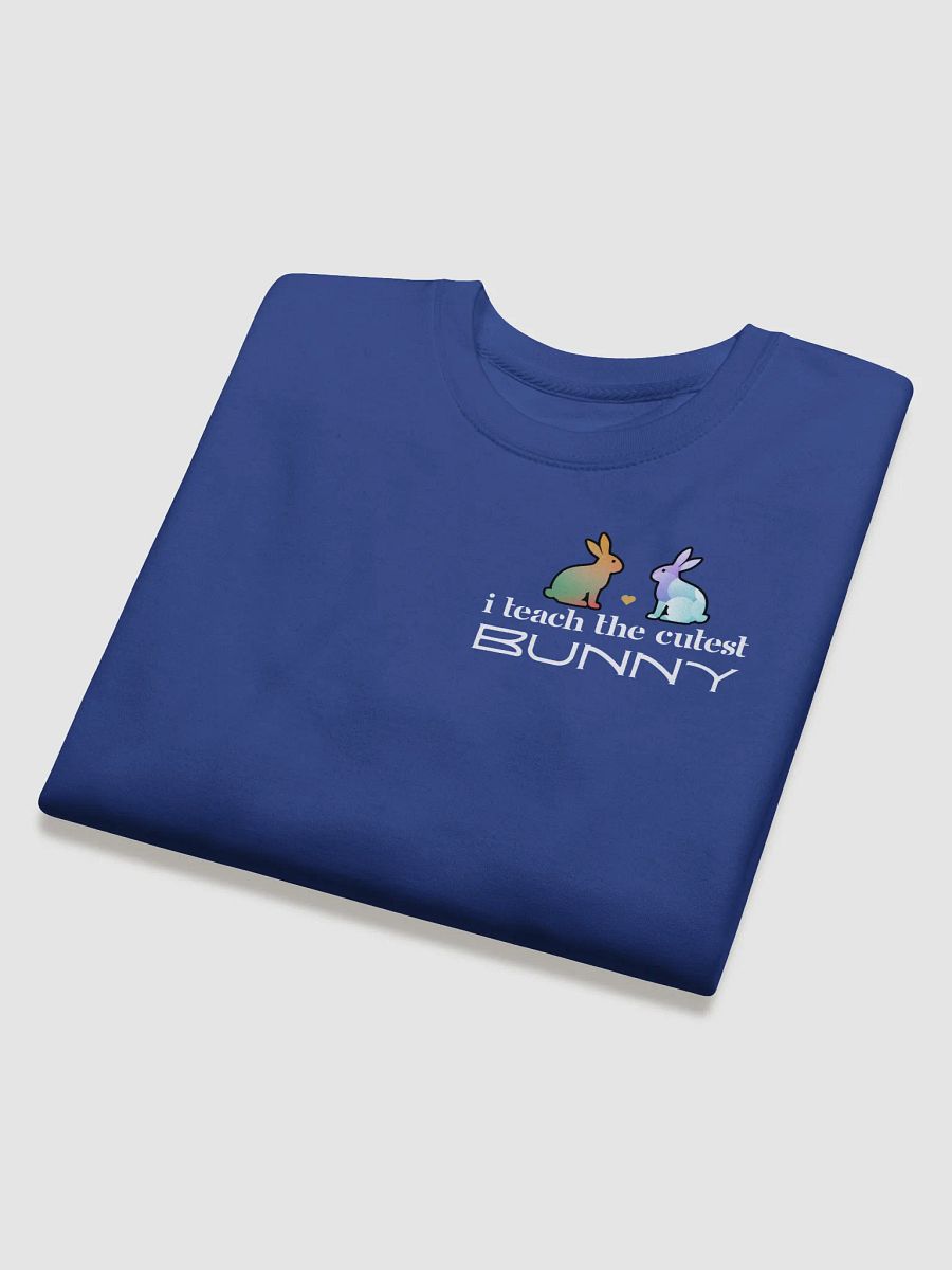 I Teach The Cutest Bunny, Teachers Heritage Sweatshirt - Pocket product image (4)