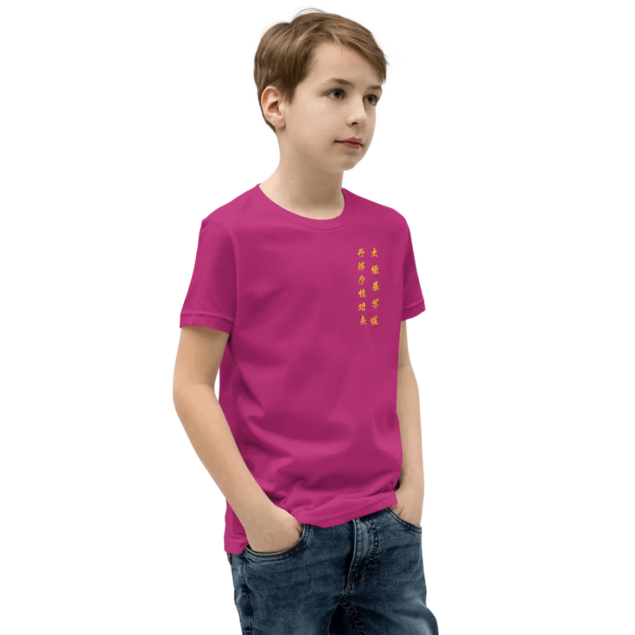 DSTJI Youth Shirt product image (92)