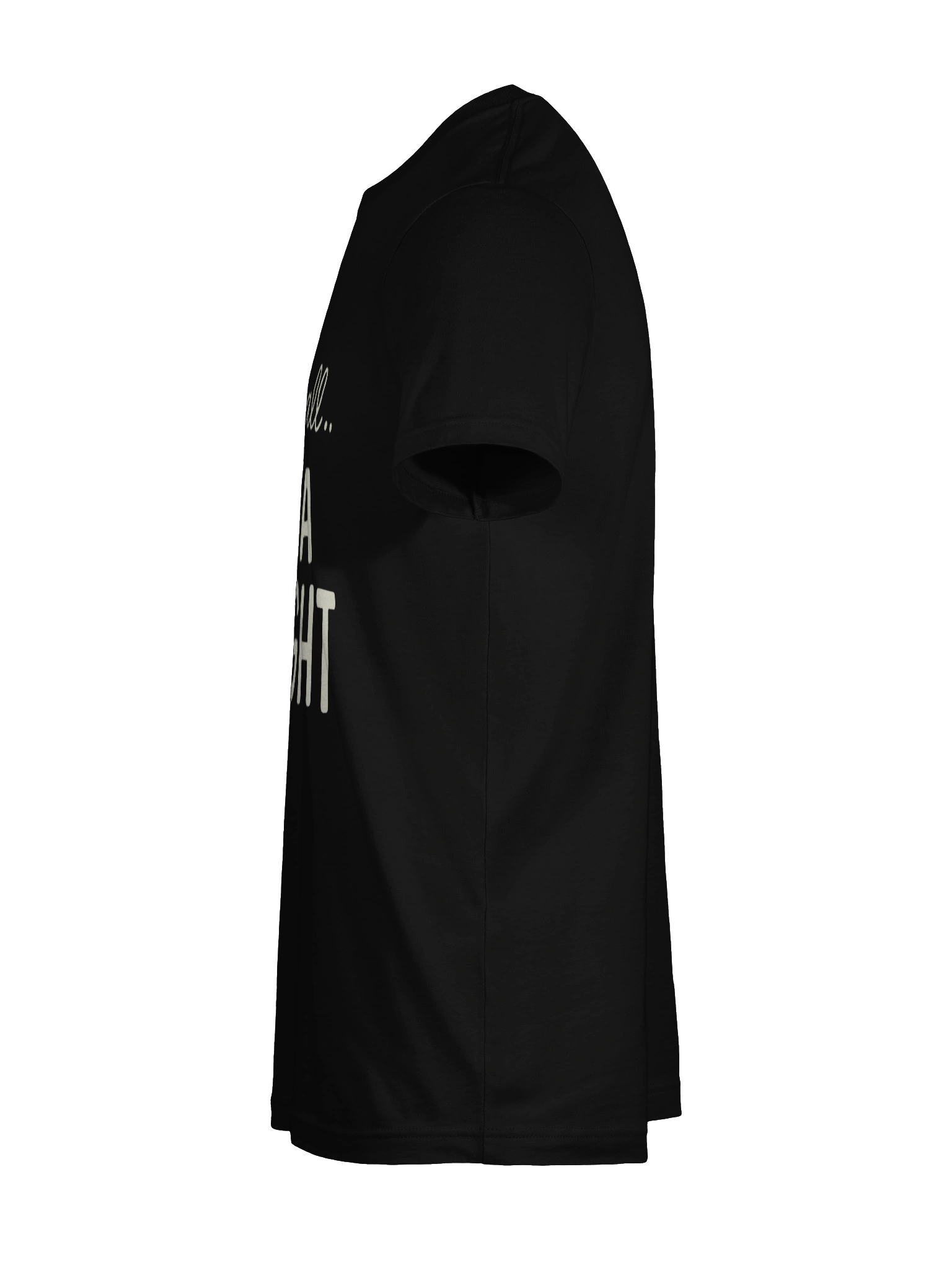 Delightful Statement Bella+Canvas T-Shirt product image (93)