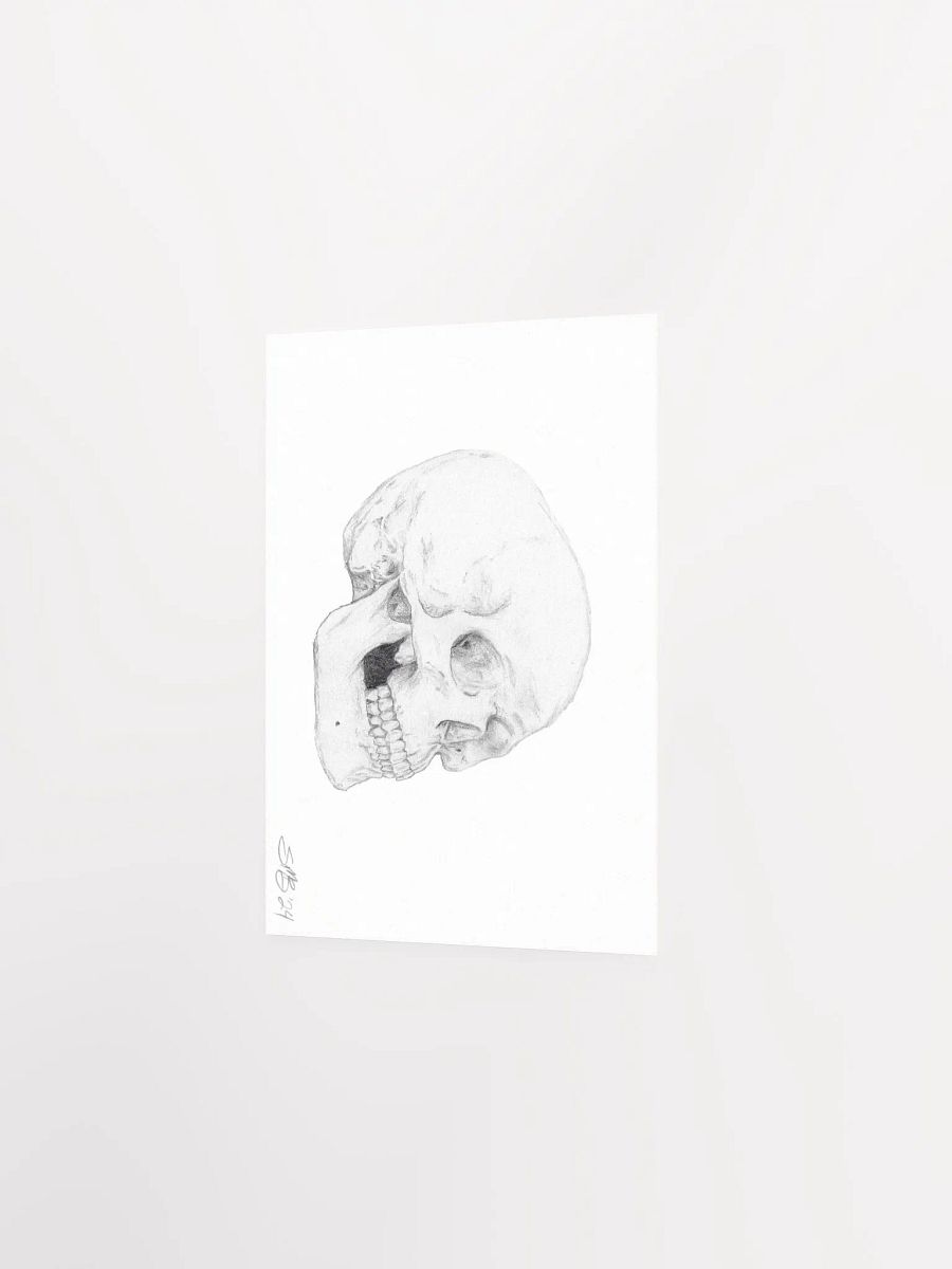 Skull Wall Art product image (3)
