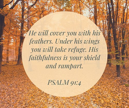🍂🕊️ There’s something so beautiful and comforting about this verse. It reminds us that God’s protection isn’t distant — it’s ...
