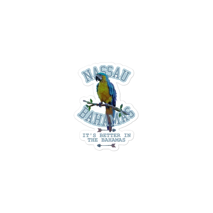 Nassau Bahamas Magnet : Bahamas Parrot : It's Better In The Bahamas product image (2)