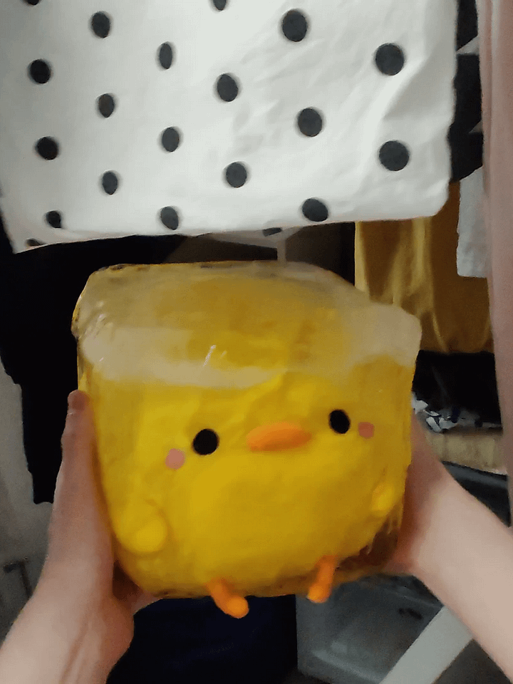 HENRY PLUSH product image (2)