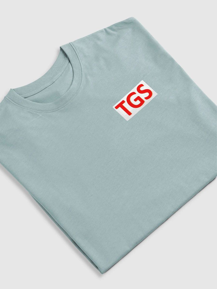 Bold TGS Men's Premium Tee product image (5)