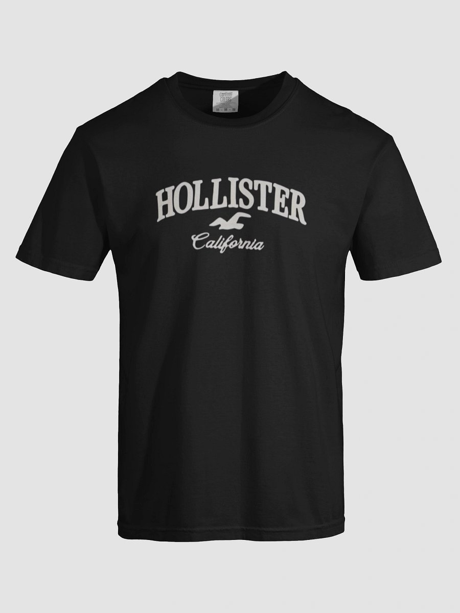 HOLLISTER California Dreamin' T-Shirt product image (7)