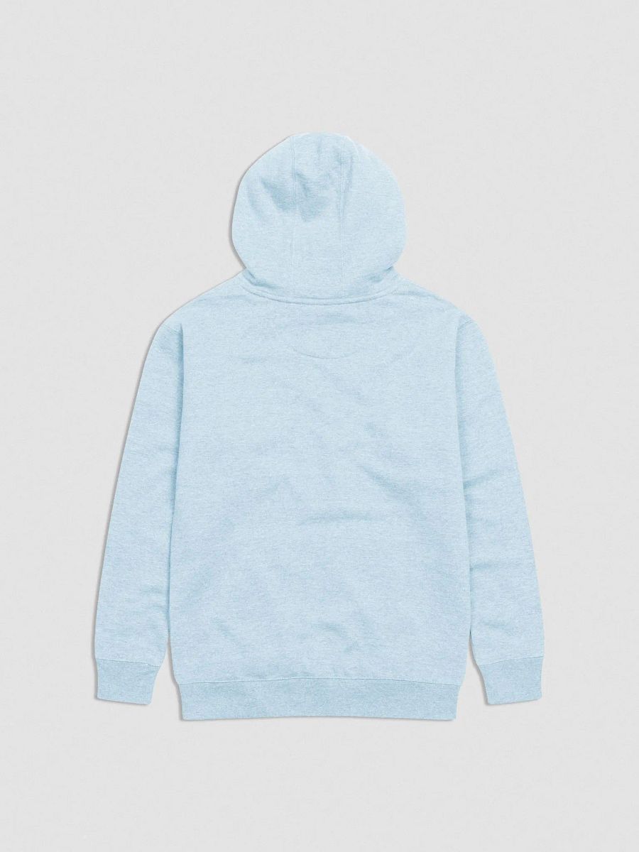 Whole Hoodie - Blue Logo product image (14)