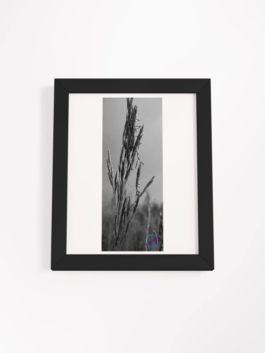 Dewy web product image (2)