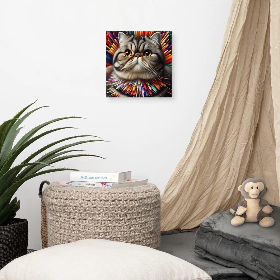 Canvas (in): Exotic Shorthair product image (7)