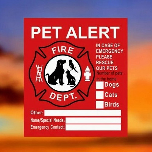 Introducing our Waterproof Pet Inside Fire Rescue Sticker! With dimensions of 4