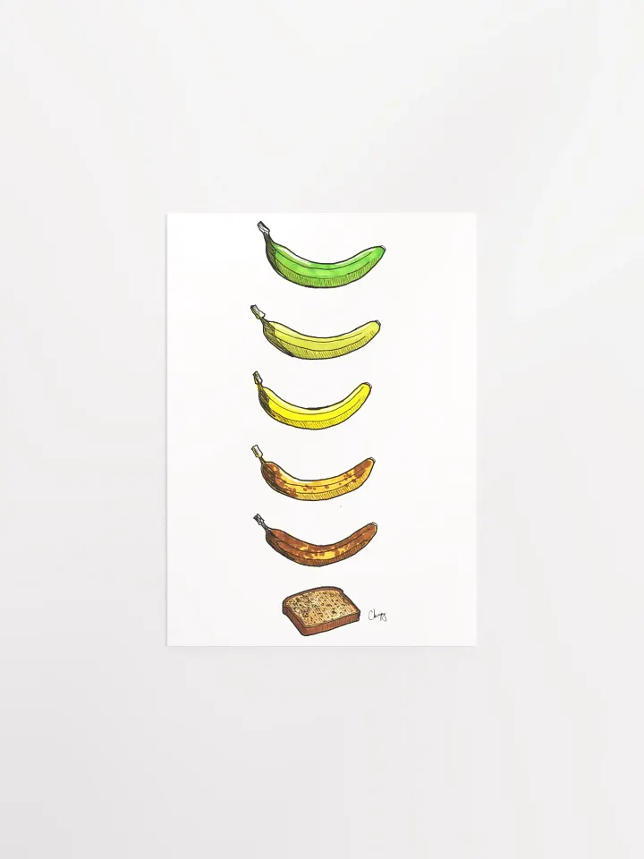Life Cycle Of A Banana product image (1)