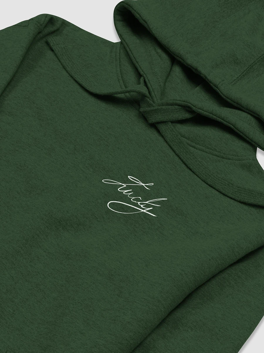 Green Hoodie product image (3)