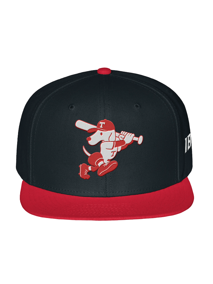 Galt Terriers Legacy Cap product image (3)