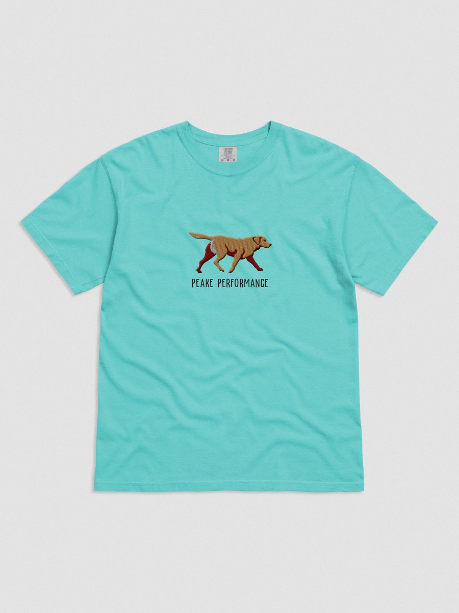 Peake Performance T-Shirt(Embroidered) of a Chesapeake Bay Retriever(Tan) product image (31)