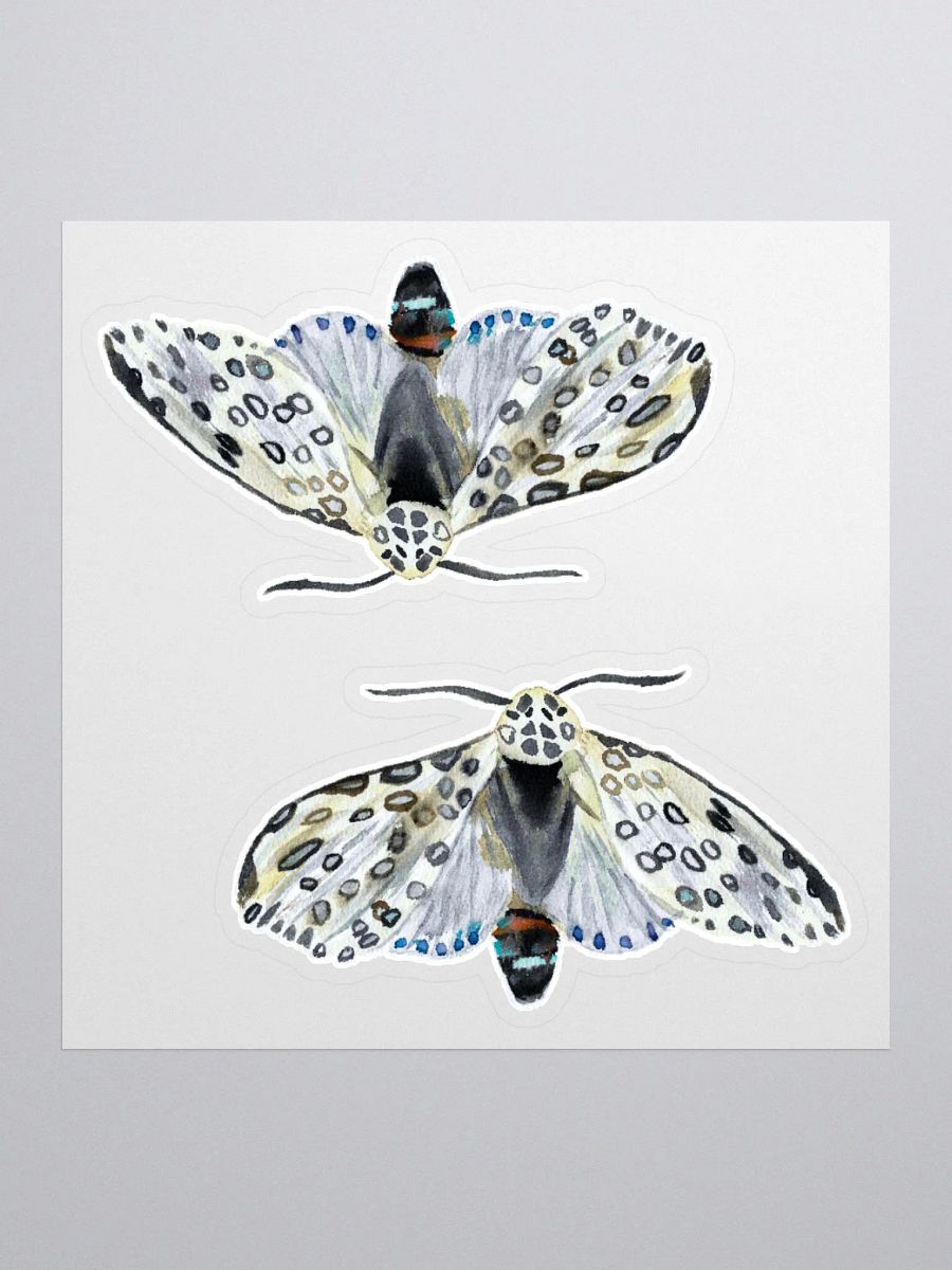 Giant Leopard Moth Sticker (x2) product image (1)