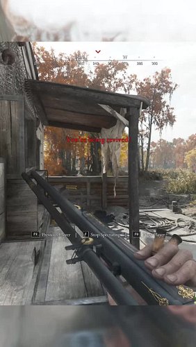 Some Springy Fun after being revived. #HuntShowdown