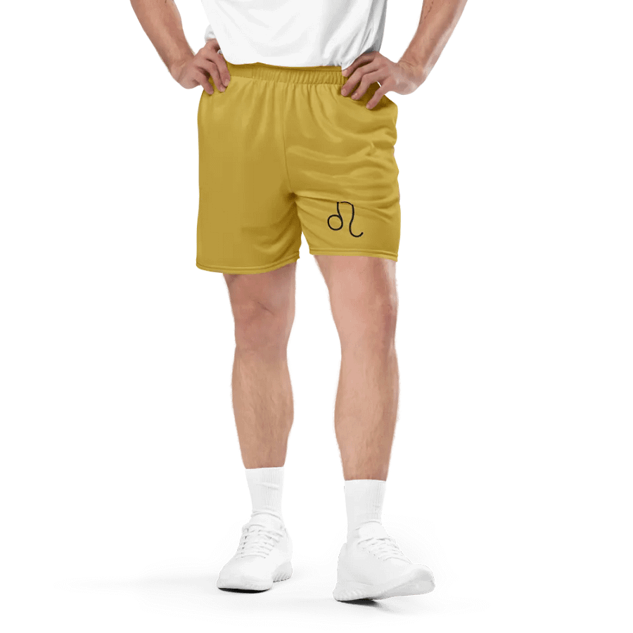 Leo Zodiac All-Over Print Mesh Shorts product image (1)