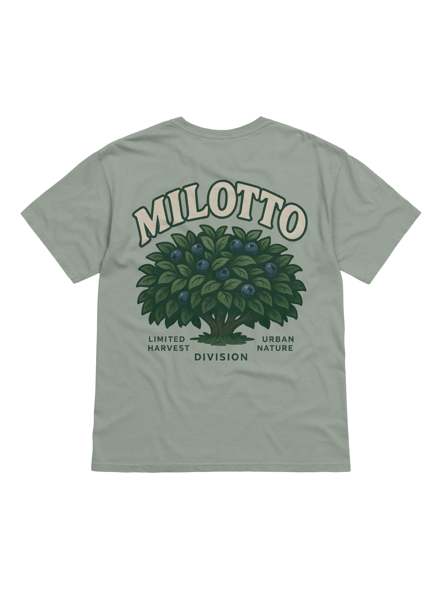 Milotto - Blueberry Bush product image (4)