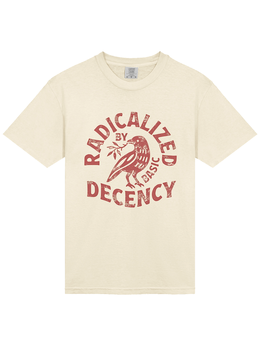 Radicalized by Basic Decency Shirt Radicalized by Basic Decency V-Neck T-Shirt product image (2)