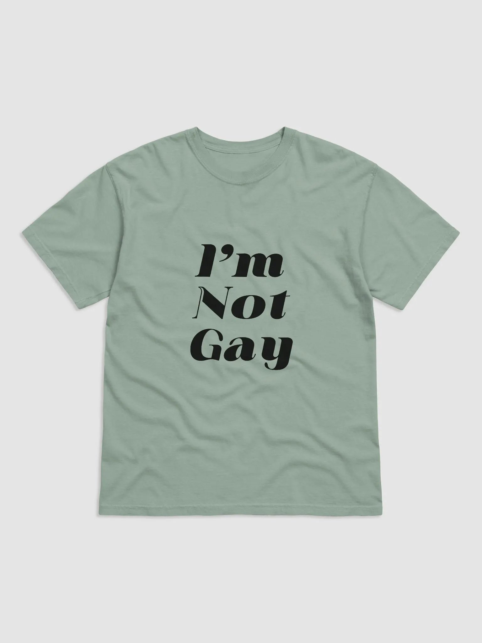 I'm Not Gay Tee product image (1)
