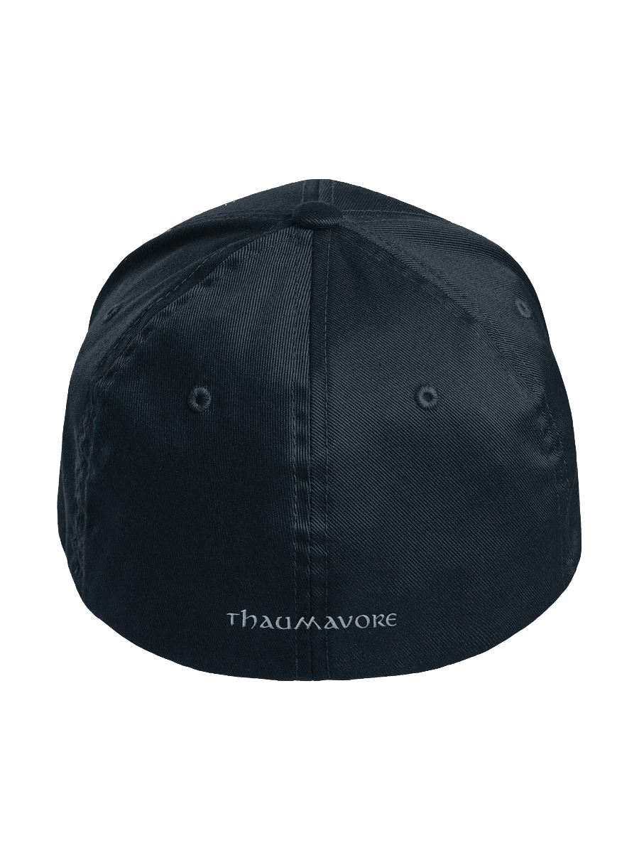 Dark Fitted Logo Cap product image (4)