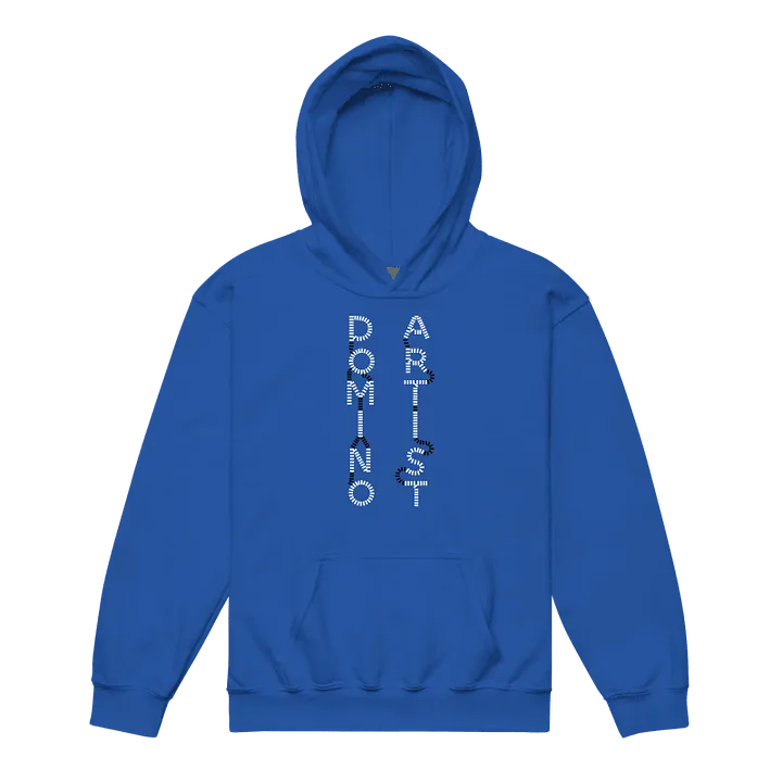 Domino Artist Hoodie (Youth) product image (1)