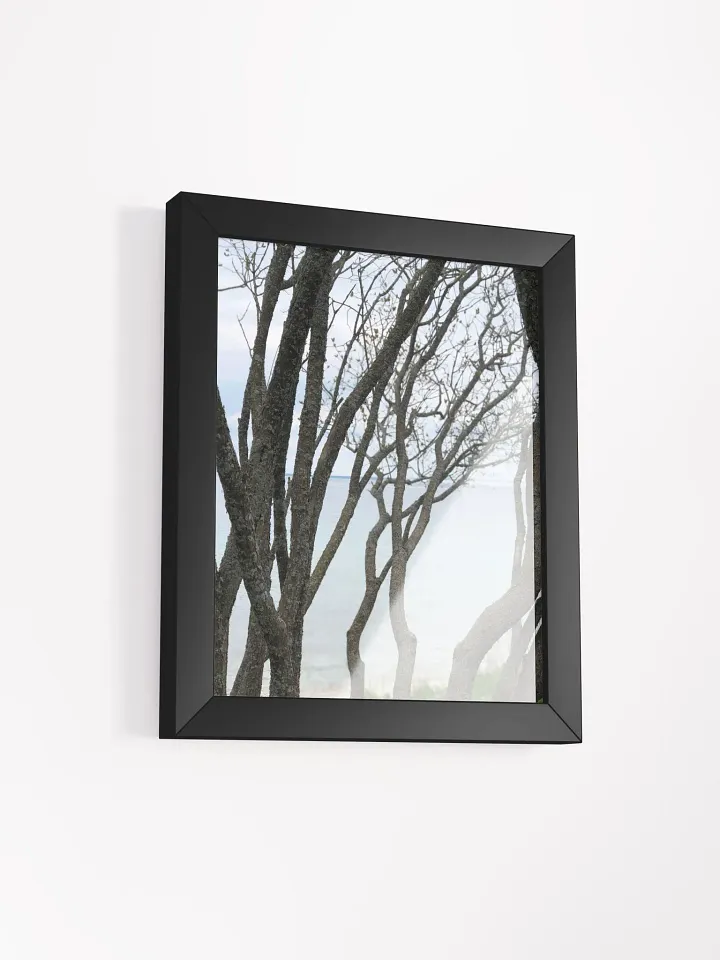 Winding Branches High Quality Matte Poster product image (2)