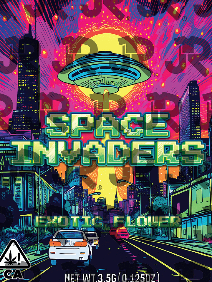 Space Invaders (Bag Template) product image (1)