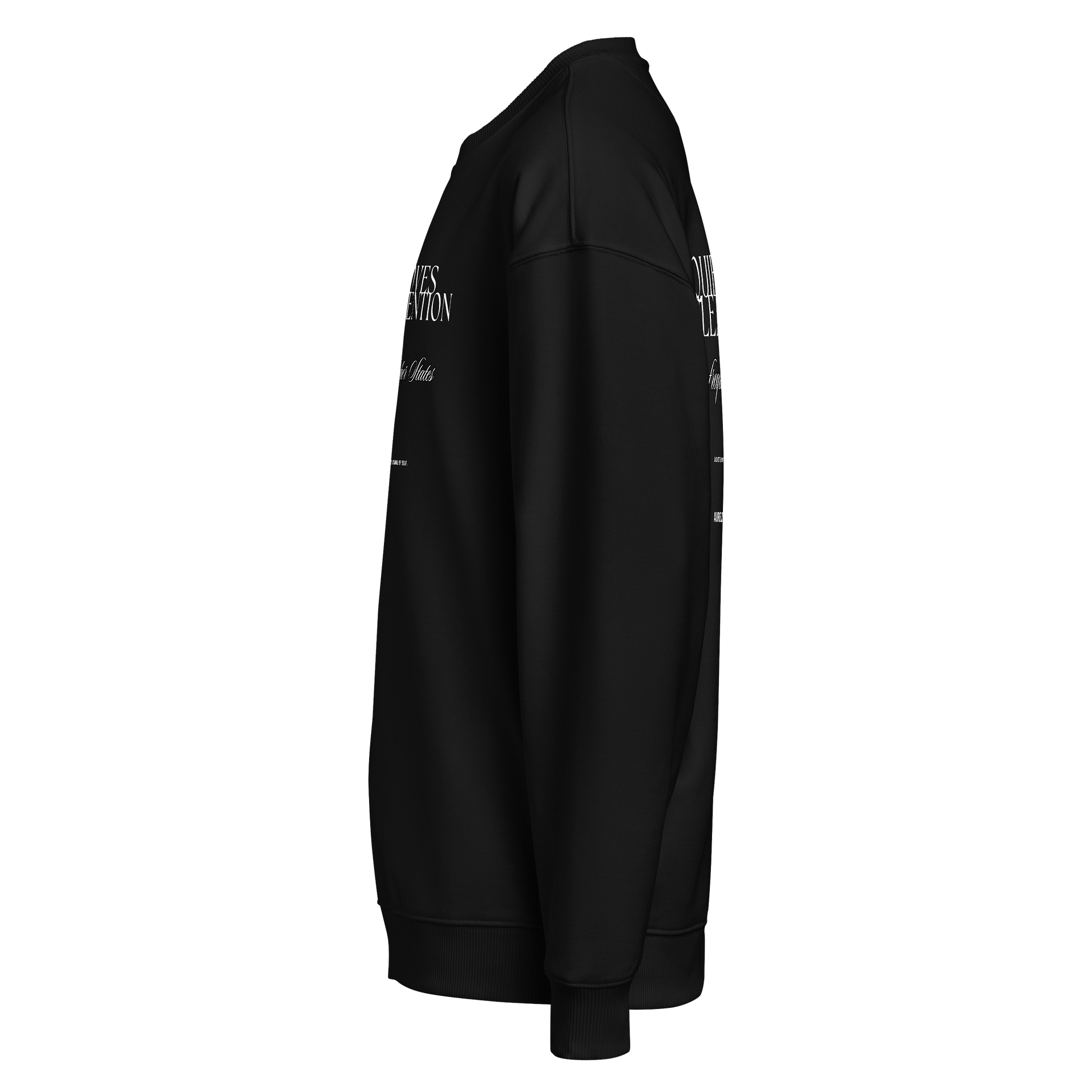 Quiet Power Crewneck – Black Signal / Capsule 01 product image (8)