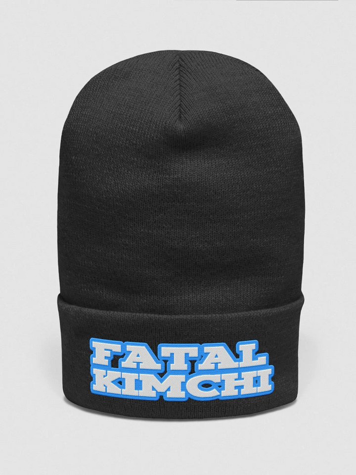 FatalKimchi Aqua Embroidered Logo product image (1)