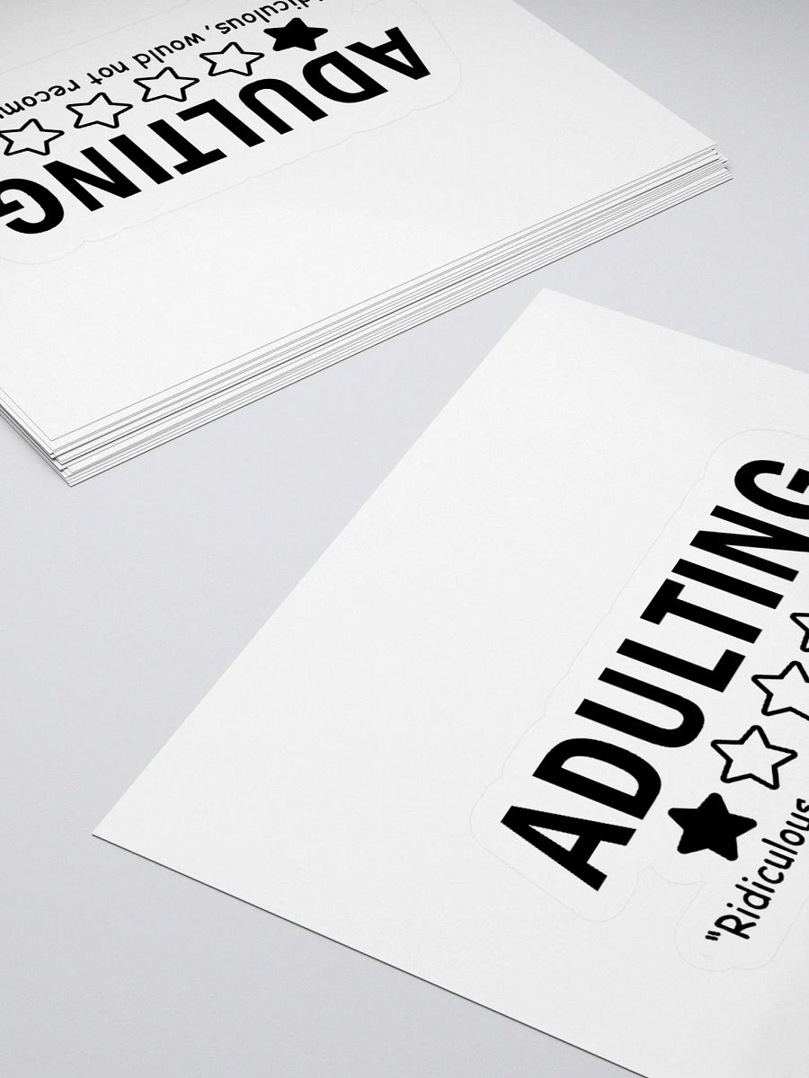 adulting product image (12)