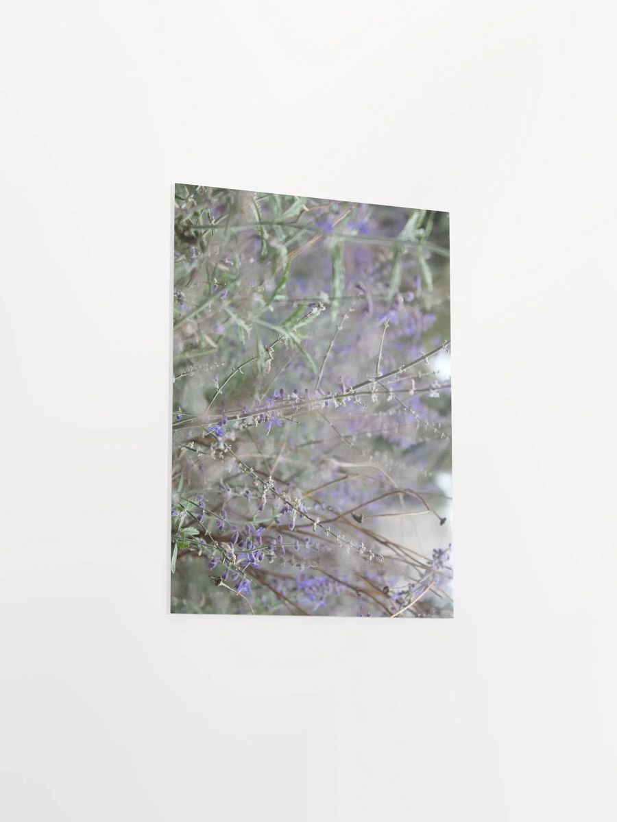 A Study in Flowers 13 product image (35)