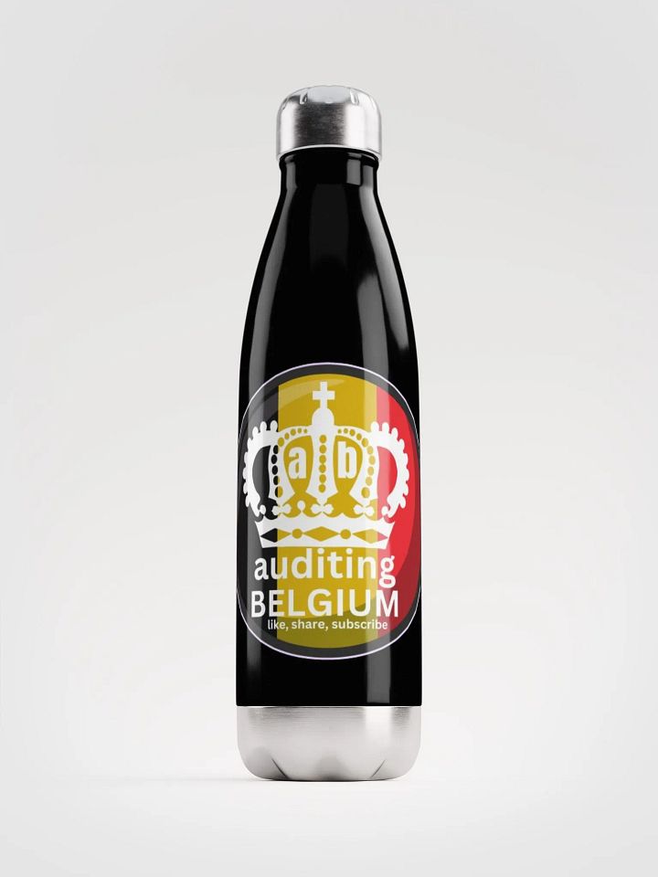 AUDITING BELGIUM product image (1)