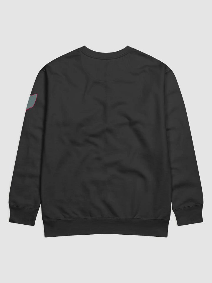 RIP Duck: Rose Bowl Sweater (Black) product image (2)