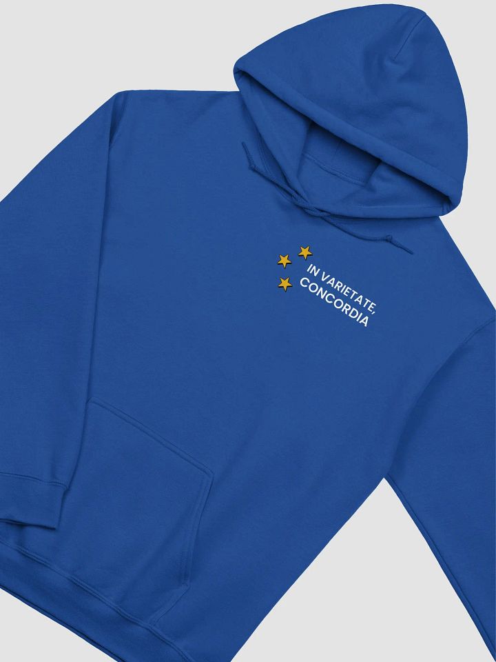 Hoodie - In Varietate, Concordia - Blue & Variants product image (11)