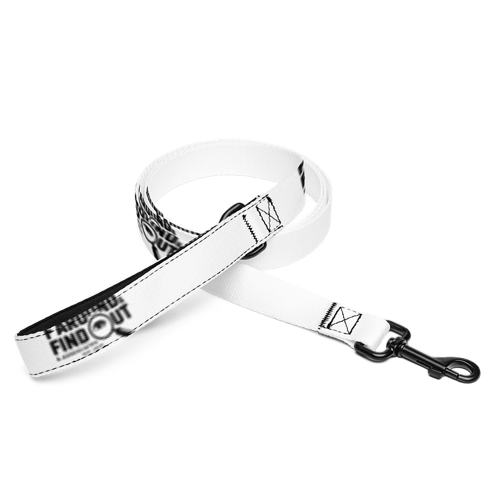 Gradient Glow Pet Leash product image (1)