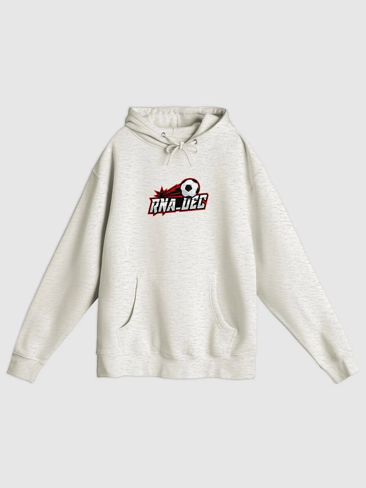 RNA_Dec Hoodie (Large Logo) - Unisex product image (1)