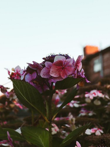 Out and about 
•
•
•
•
•
• 
•
•
•
#photography #photographer #photo #photoshoot #photooftheday #liverpoolphotographer #liverp...