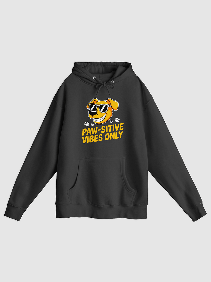 Paw-sitive Vibes Pullover Hoodie product image (1)