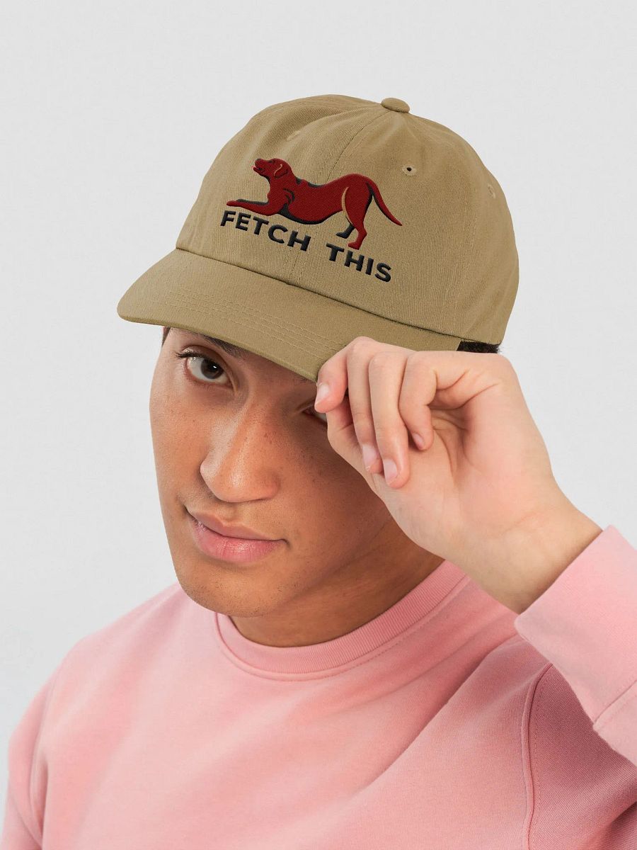 Fetch This Classic Dad Hat(Embroidered) of a Labrador Retriever(Chocolate) product image (2)