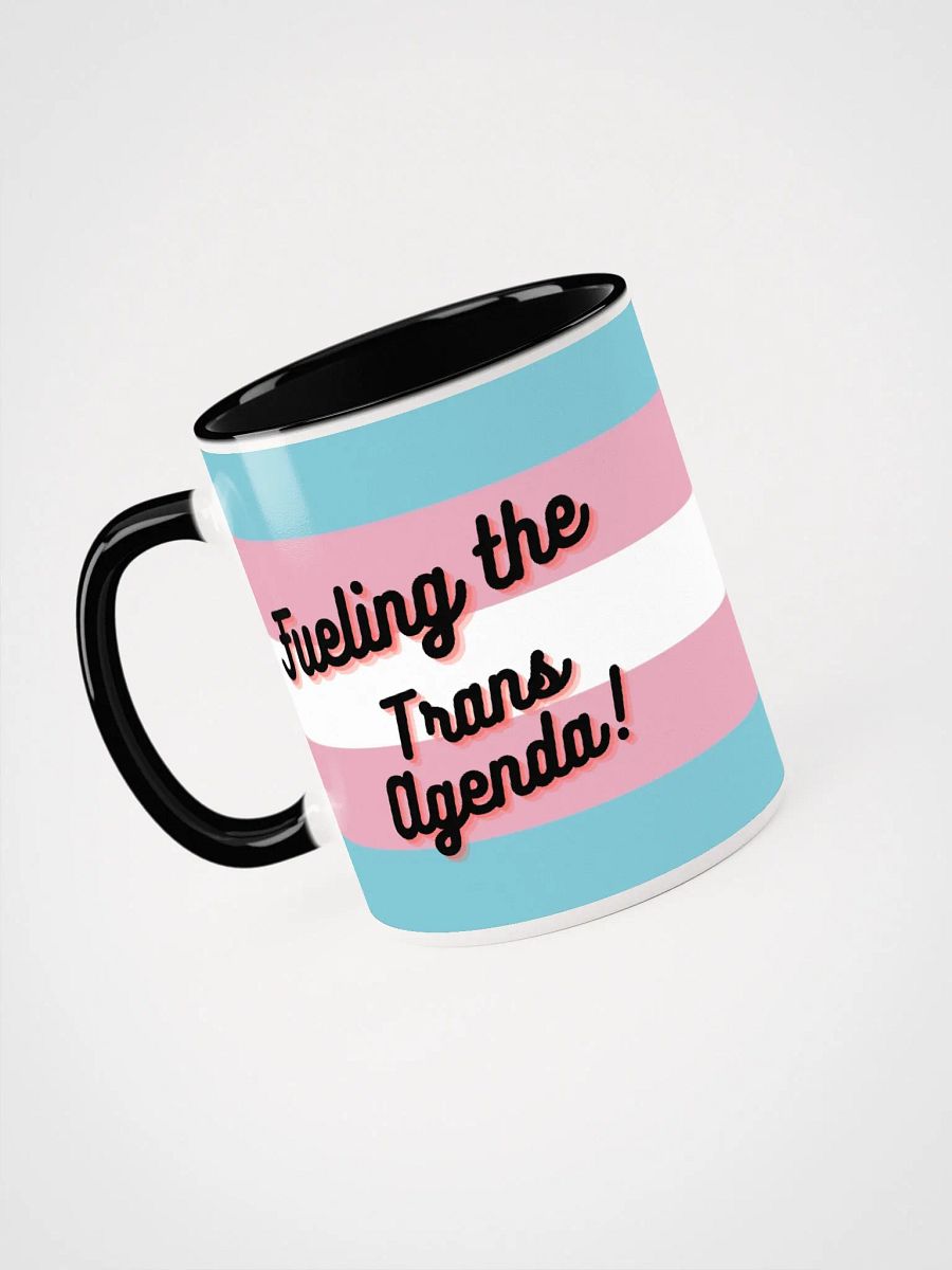 Fueling the Trans Agenda product image (3)