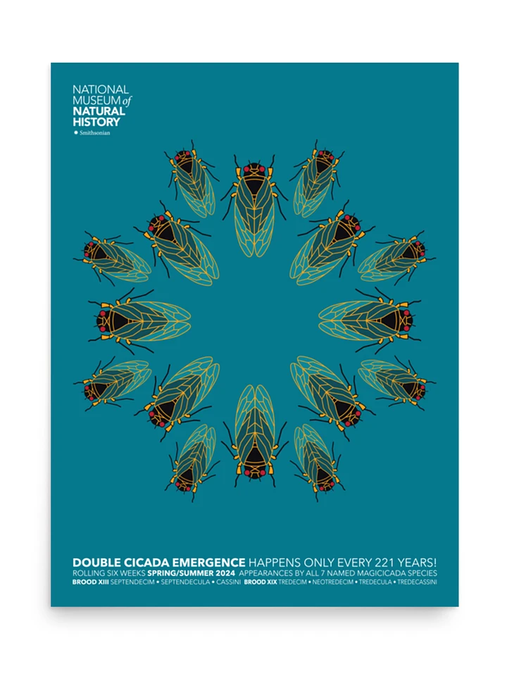 Kaleidoscope Cicadas Poster product image (2)