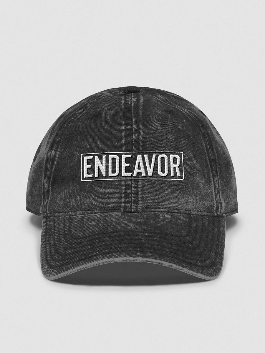 ENDEAVOR Dad Hat product image (3)