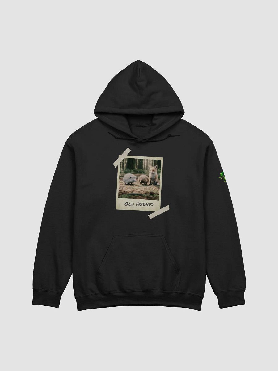 Old Friends - Hedgehog, Echidna and Fox, Polaroid Photo Hoodie product image (5)