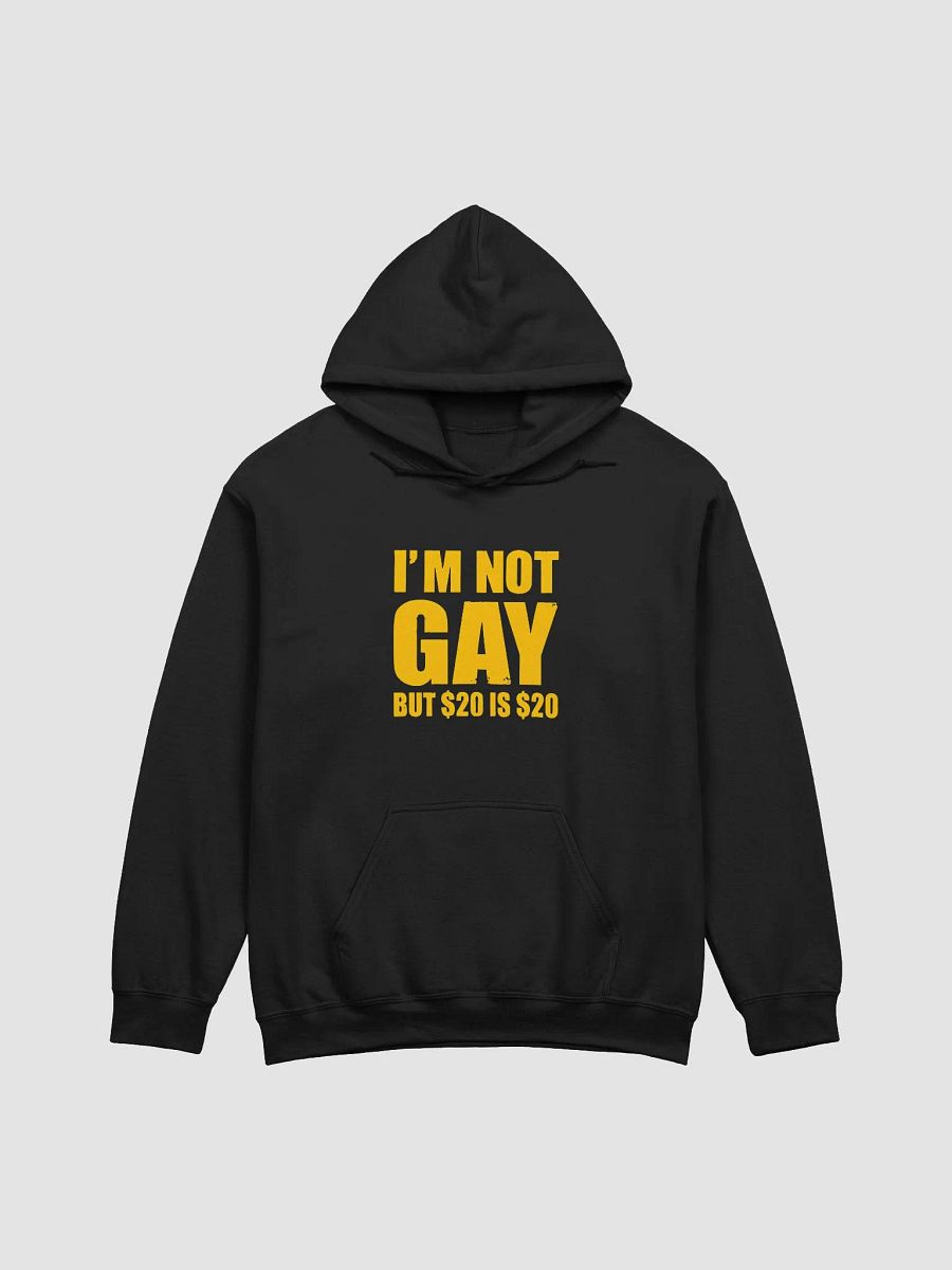 I'm Not Gay But $20 Is $20 Hoodie product image (1)